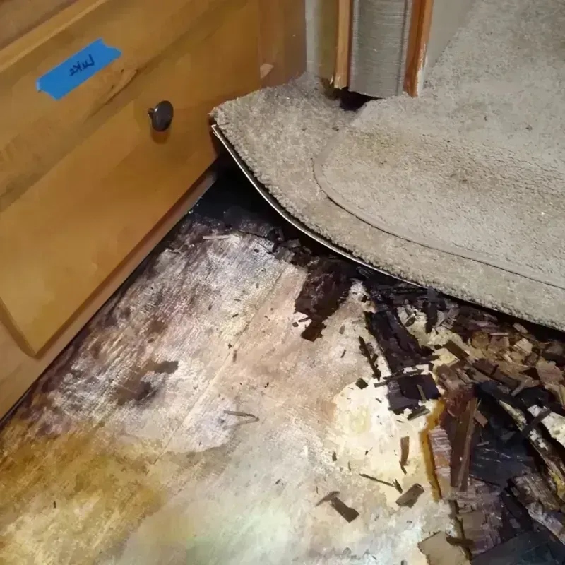 Wood Floor Water Damage in Ken Caryl, CO